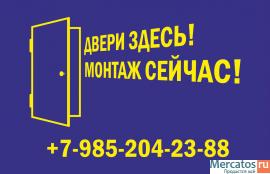 Двери входные металлические 2