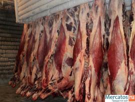 Мясо оптом(говядина, свинина) от производителя. Доставка по РФ.