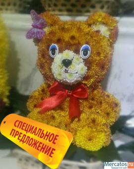 Мишка из цветов, игрушка из живых цветов 6