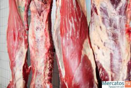Мраморное мясо оптом от производителя.