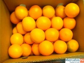 Апельсины Valencia из Египта