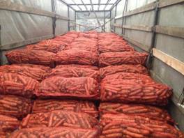 Морковь сорт «Найроби » от производителя оптом, со склада в Санк