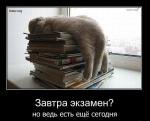 Дипломы на заказ в Бийске