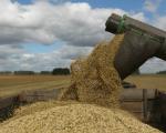 Зерно: Пшеница Ячмень Овёс Лён Отруби Семена подсолнечника