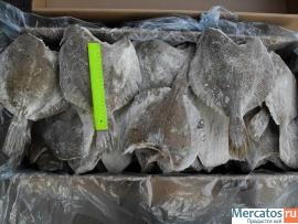 Рыба морская свежемороженая напрямую со склада 4