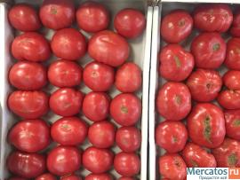 Качественные томаты от импортера со склада в Москве.