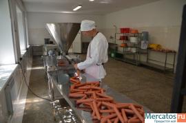 Модульный цех производства колбасных изделий