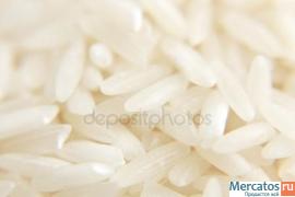 Предлагаем поставки риса