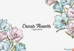 Студия цветов CROCUS FLOWERS